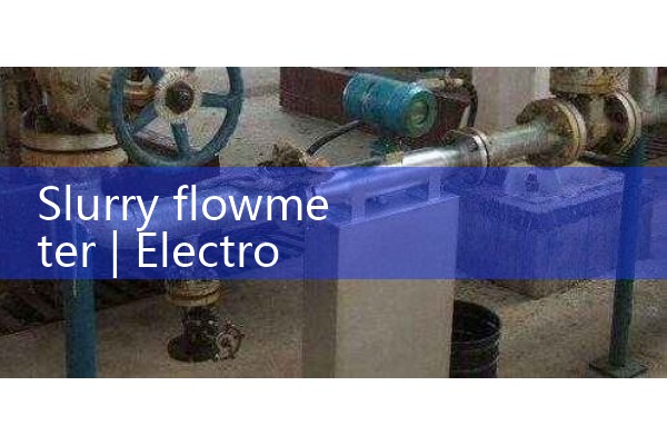 Slurry flowmeter